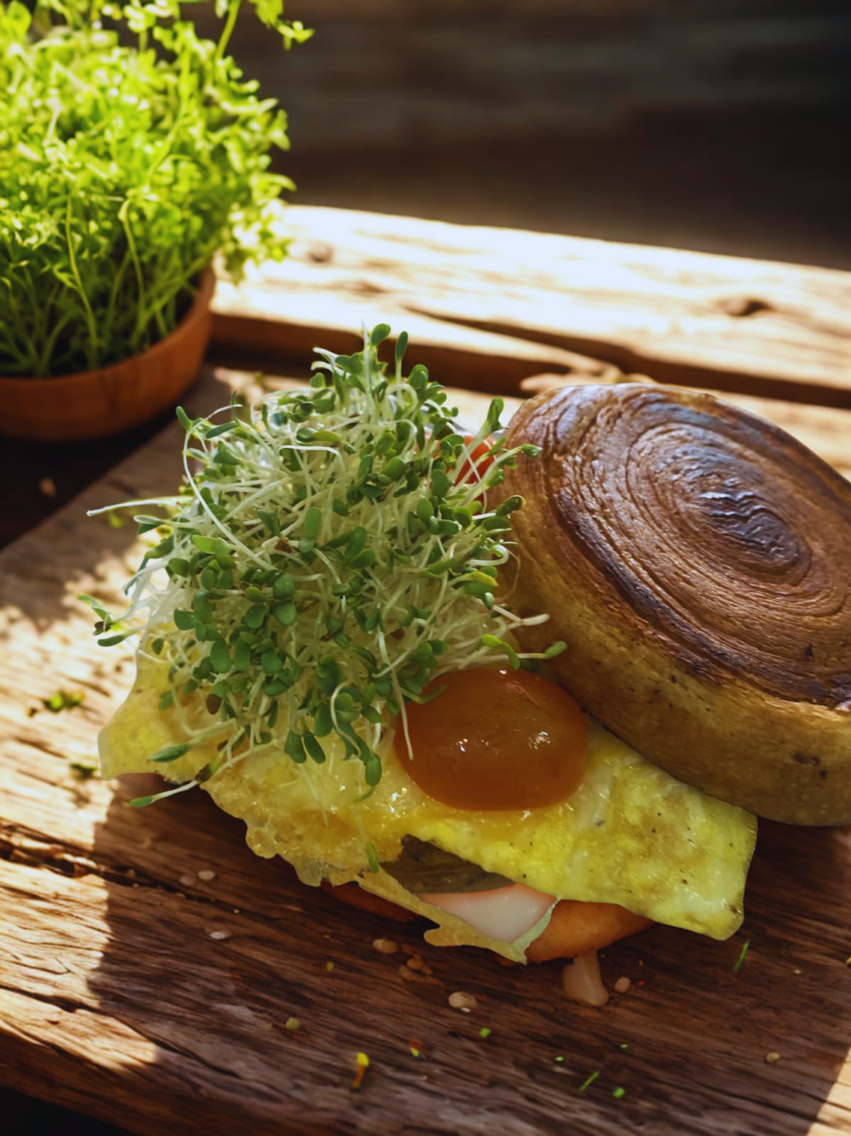 Dish 1